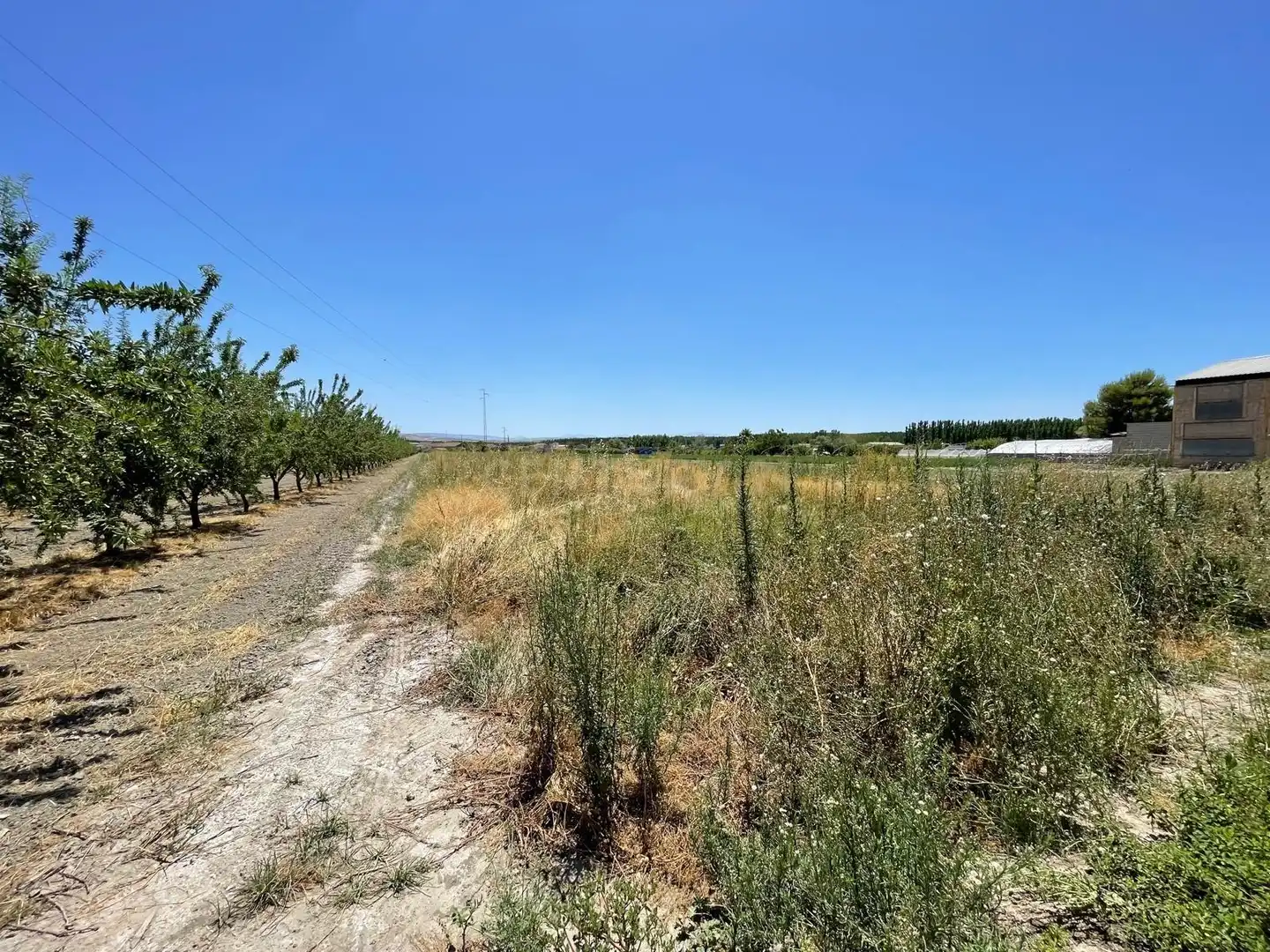 Terrains et parcelles à vendre à Camino del Cuarto, Fuente Vaqueros, Spain, imagen 7