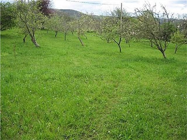 Residential for sale in Villaviciosa