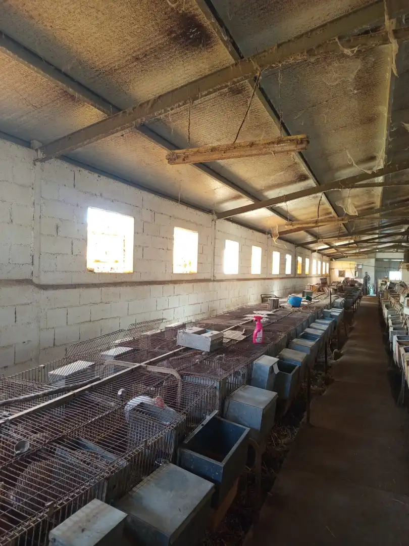 Nave industrial en venta en Fuente Álamo de Murcia