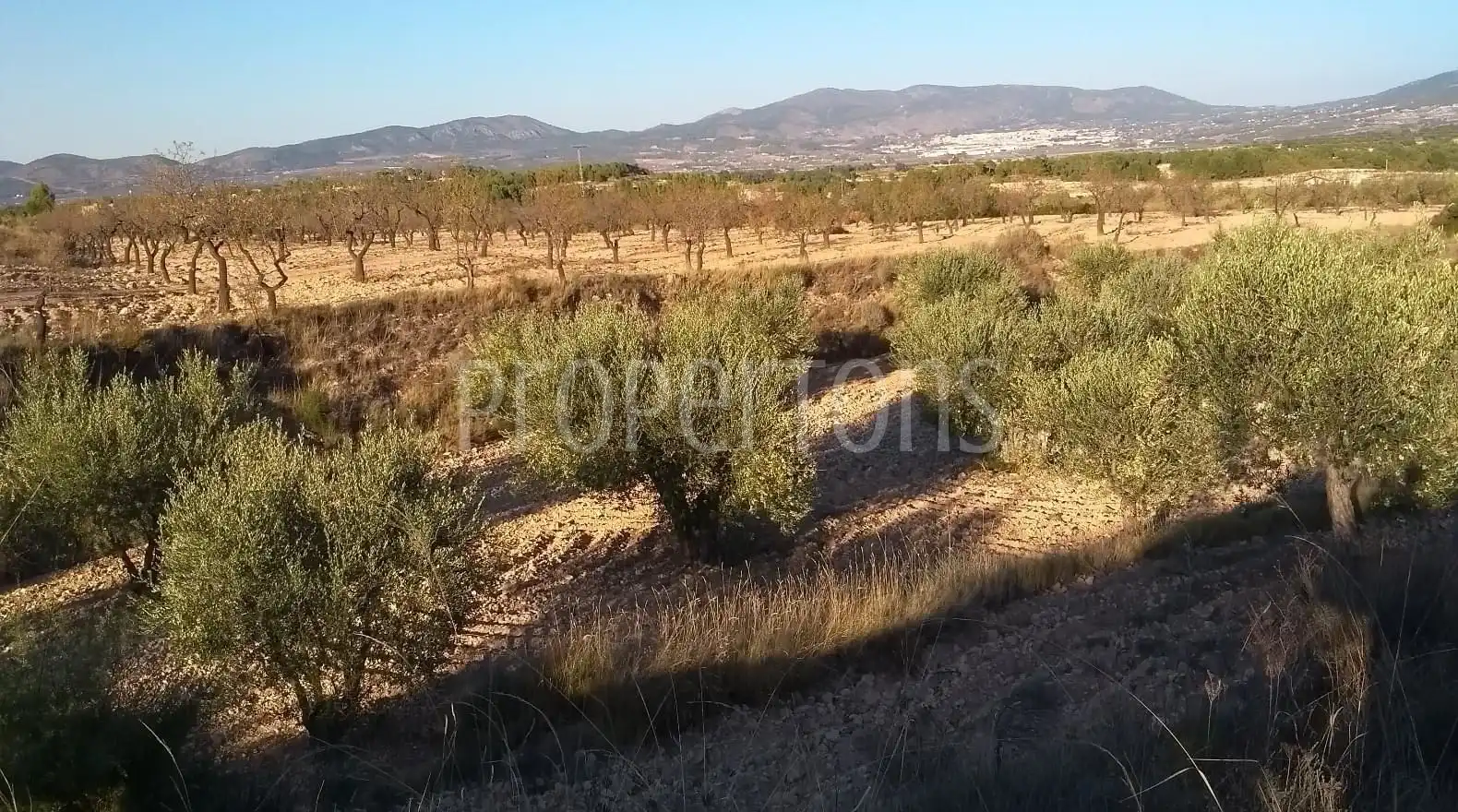 Terrenys i solars en venda a Castalla