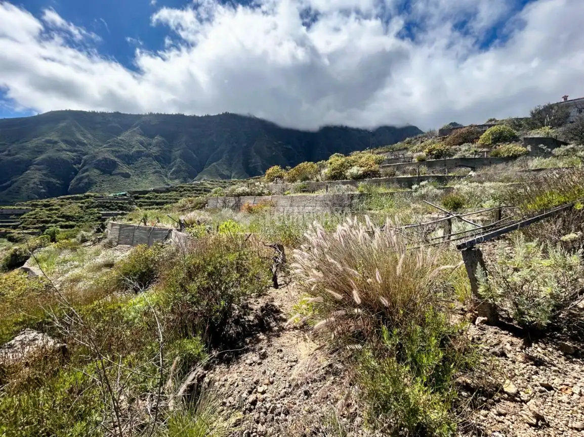 Finca rústica en venta en Güímar con Trastero y Balcón