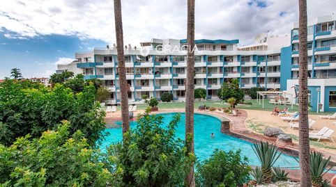 Foto 4 de Estudio en venta en Apartamentos Green Park, Golf del Sur - Amarilla Golf, San Miguel de Abona
