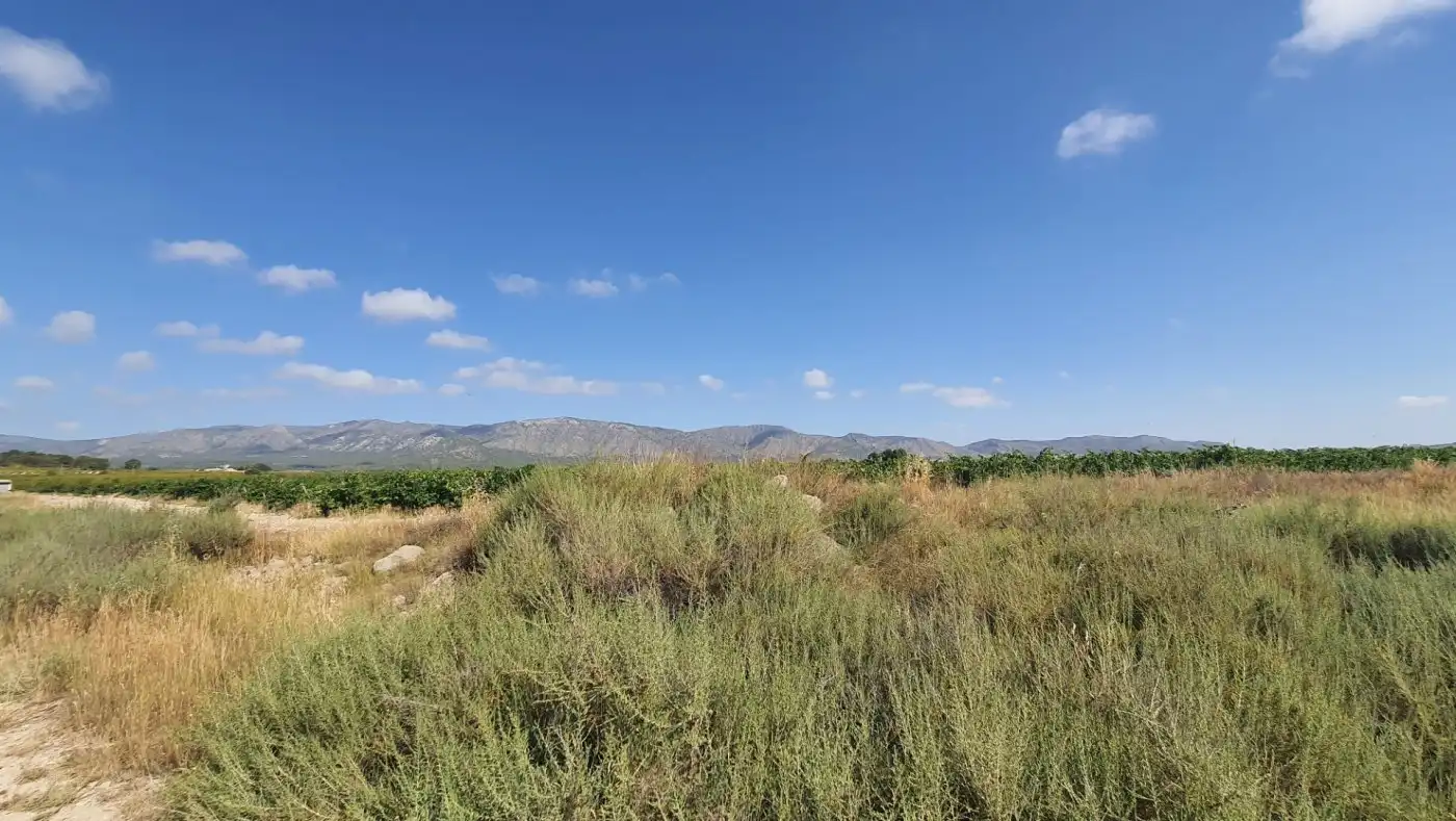 Terreno residenziale in vendita a casa plaza, imagen 17