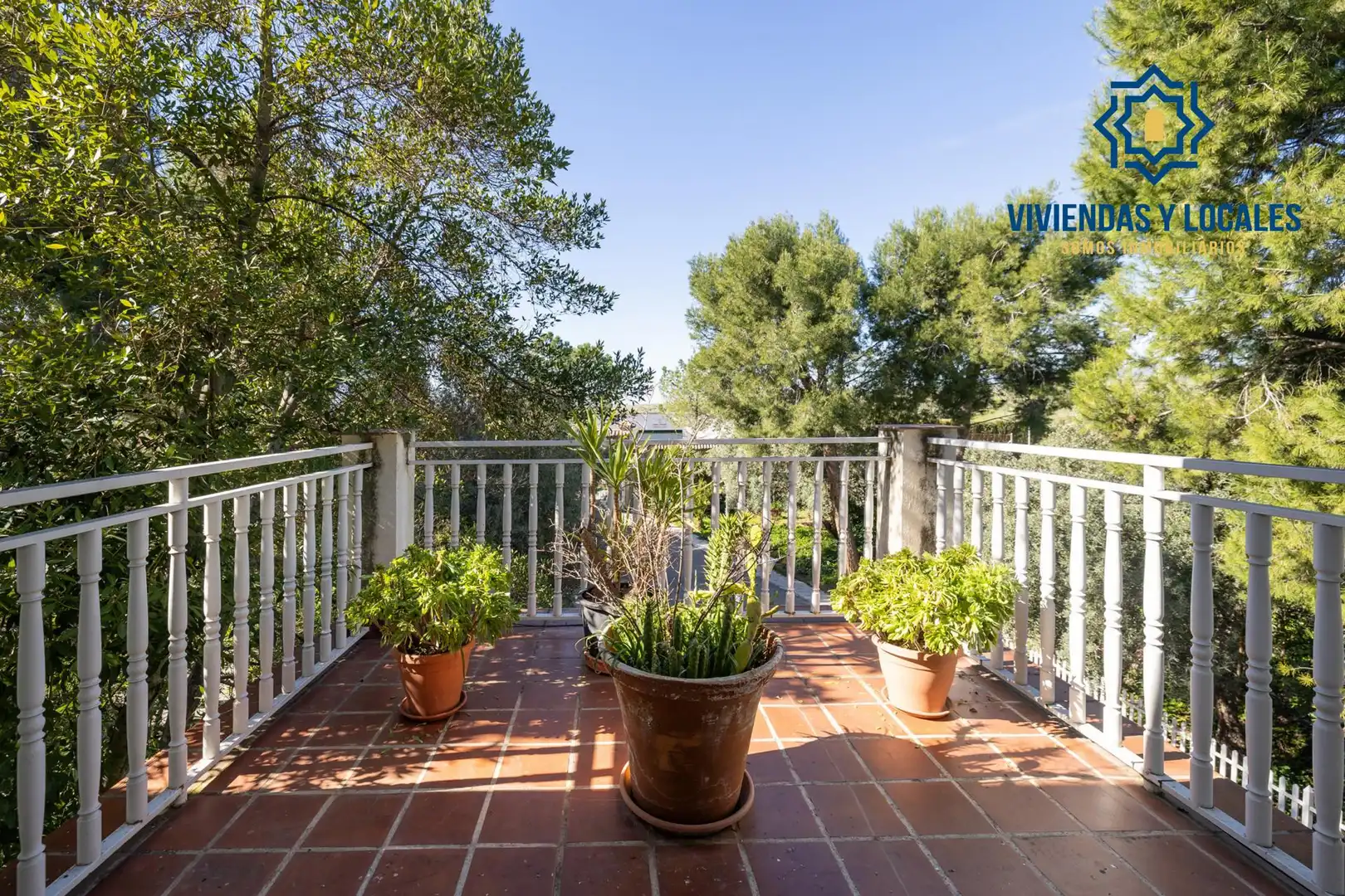 Detached house with pool for sale in Av. de los Alamos, 163, imagen 6