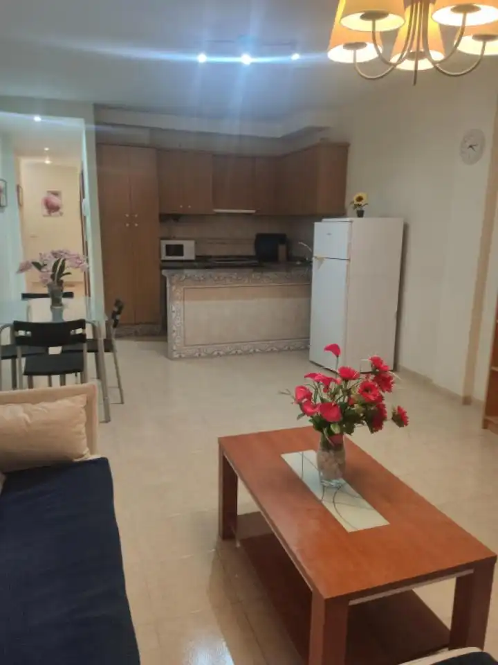 Kitchen of Flat for sale in Guía de Isora  with Terrace and Furnished