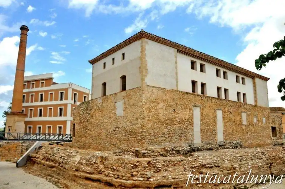 Terrenos y solares en venta en Valletes - Xiribecs, imagen 8
