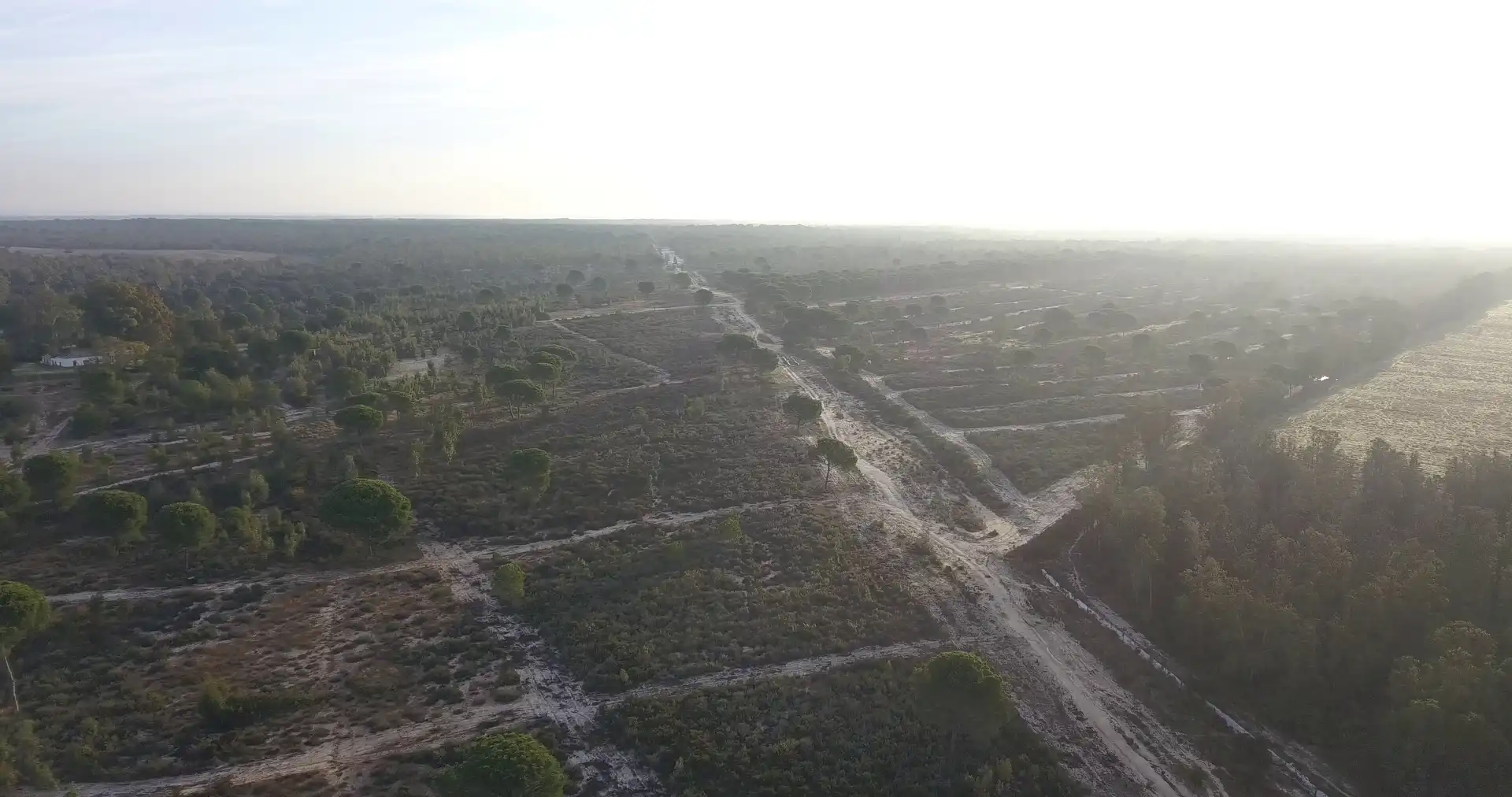 Finca rústica en venda en Almonte