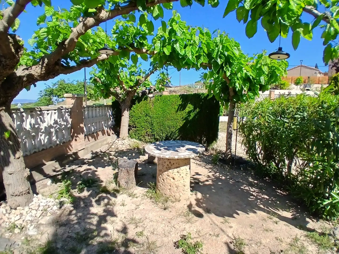 Jardín de Casa o chalet en venta en La Cerollera con Calefacción, Jardín privado y Terraza