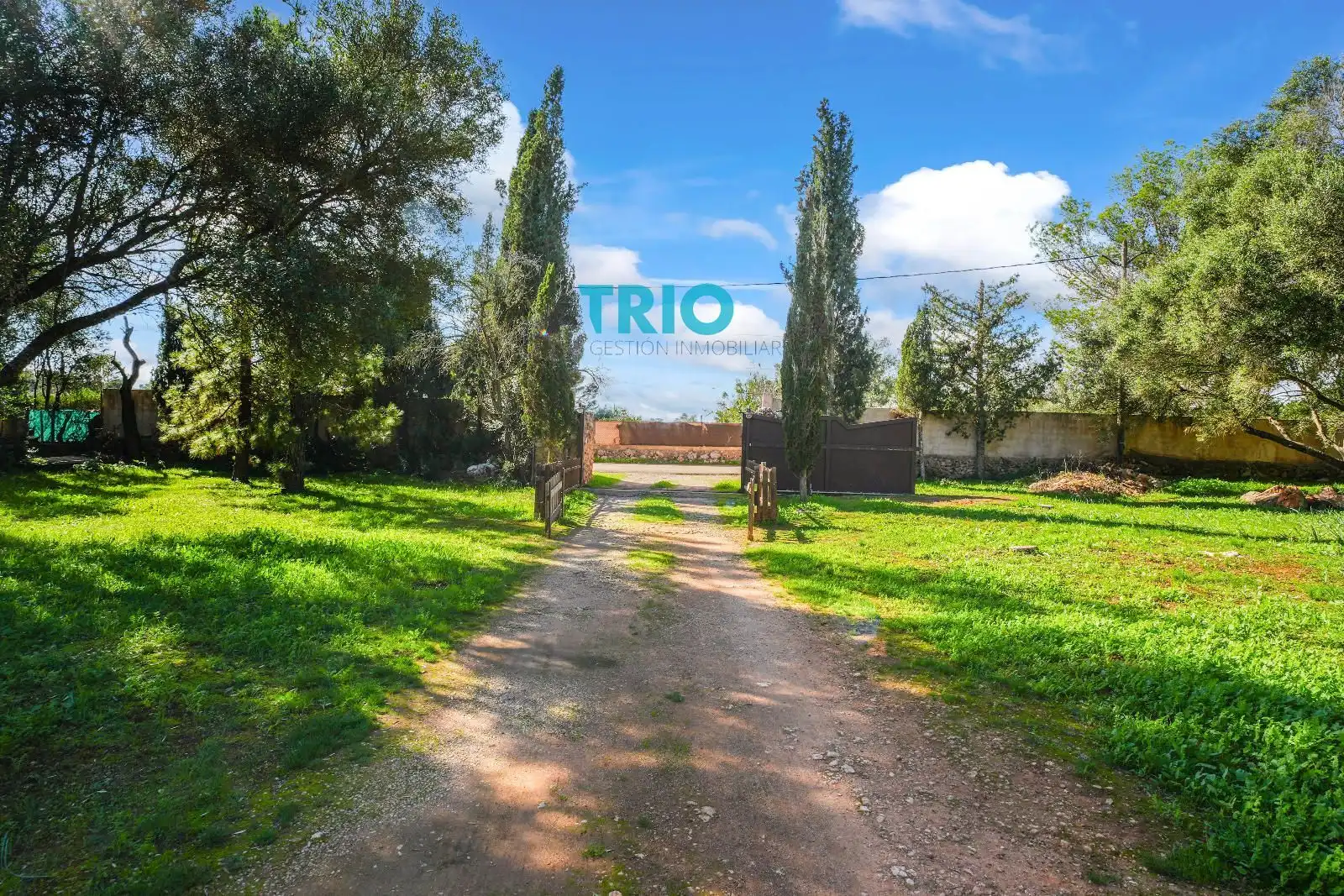 Villa avec piscine à vendre à Sencelles, imagen 37