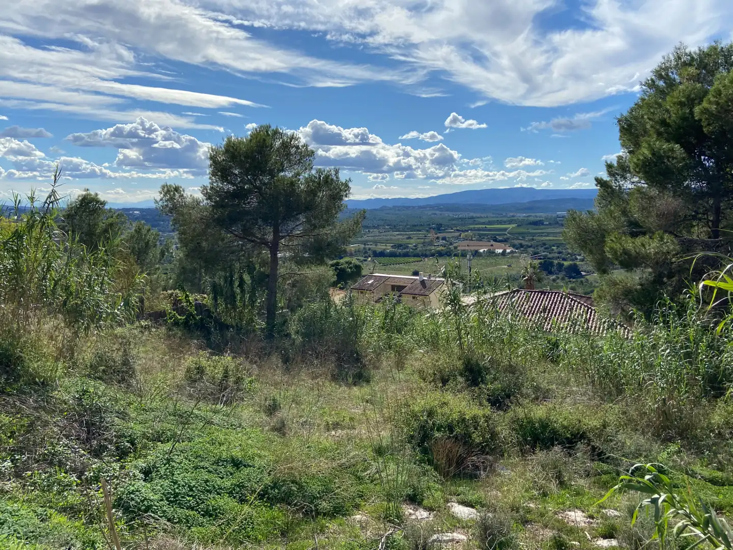 Terreny residencial en venda a Calle Españoleto, imagen 7