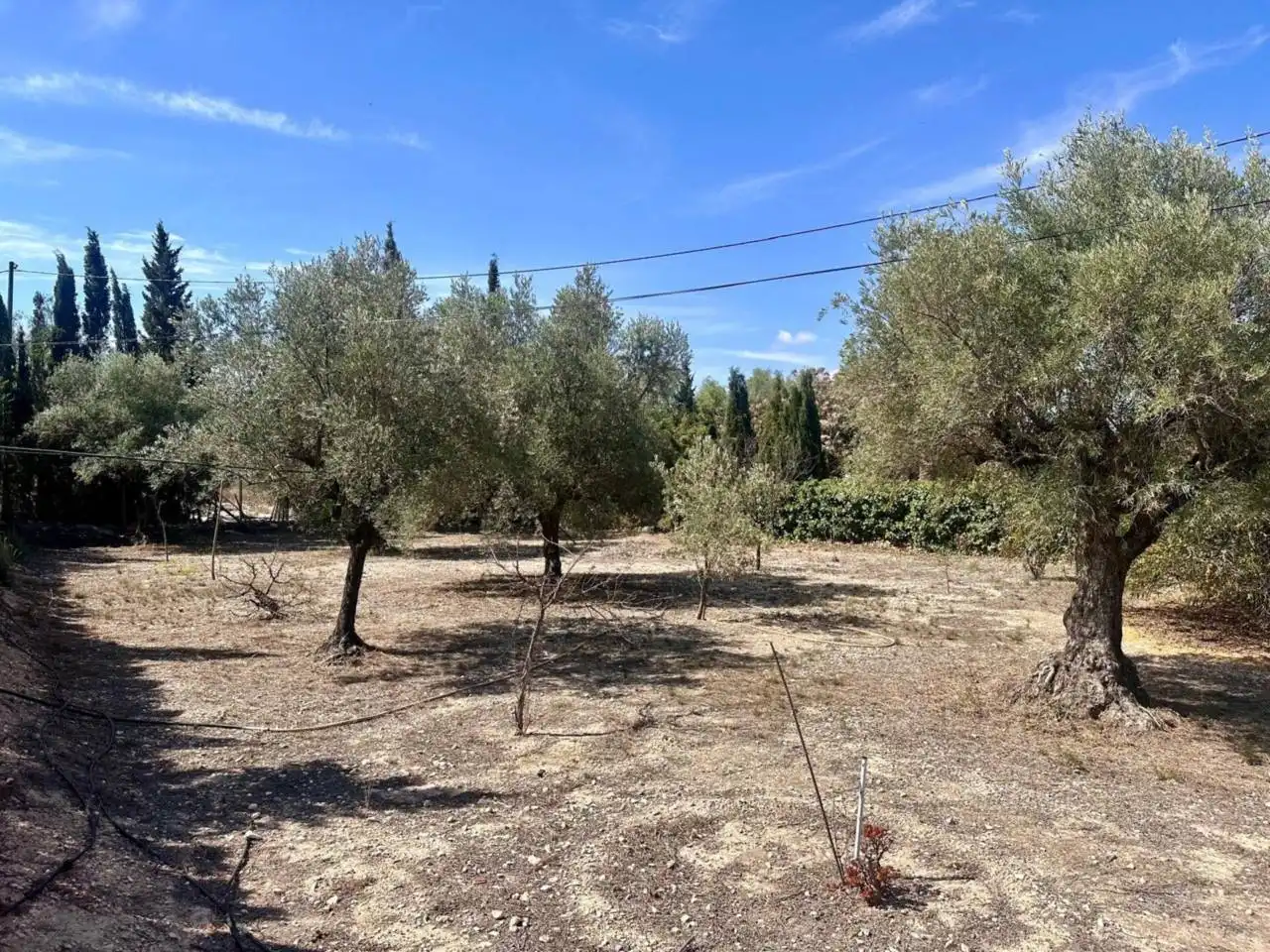 Finca rústica en venda a Poligono melik alto, Campo Alto - Club de Campo