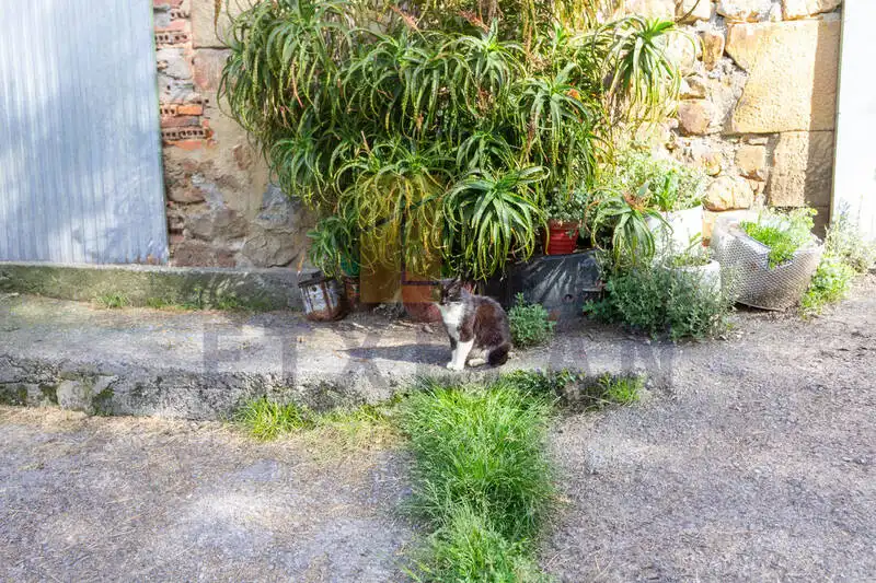 Casa rustica con terrazza in vendita a Berriz, imagen 13