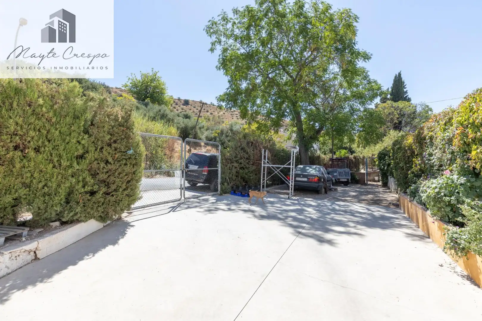 House with pool for sale in CARRETERA 22, imagen 52