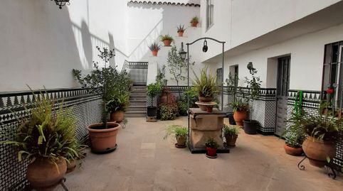 Immagine 1 dell'annuncio