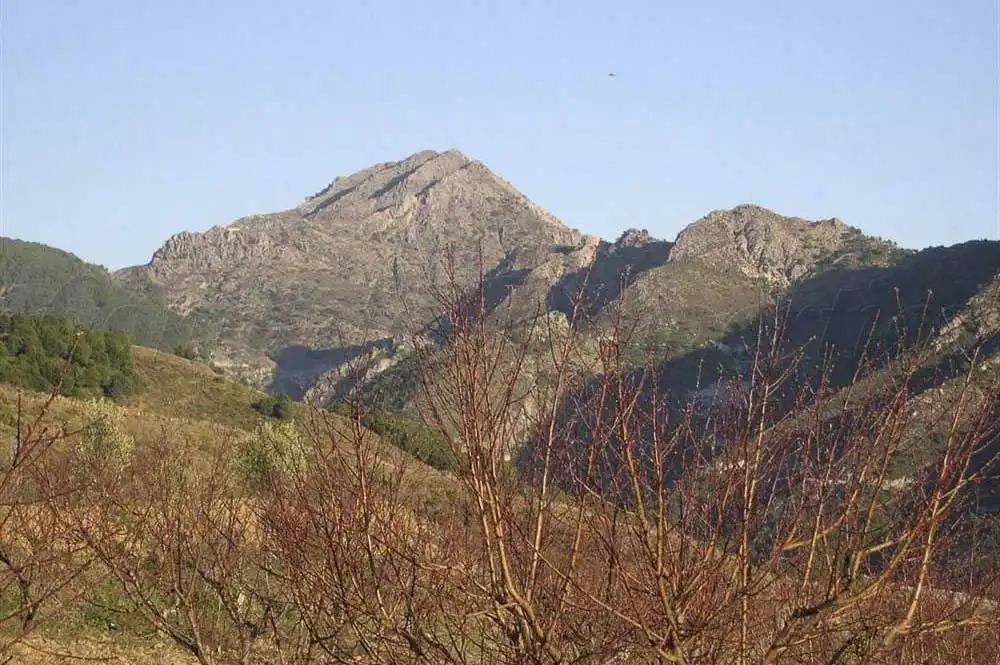 Terreny rústic en venda a Canillas de Albaida, imagen 7