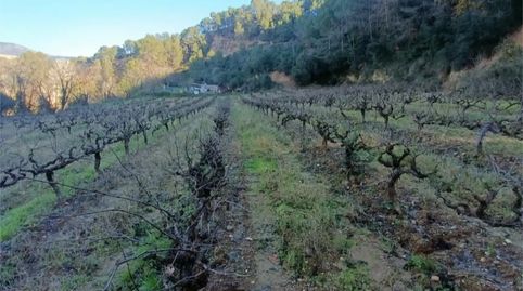 Foto 3 de Finca rústica en venta en B-231, 21, Nucli Urbà, Esparreguera