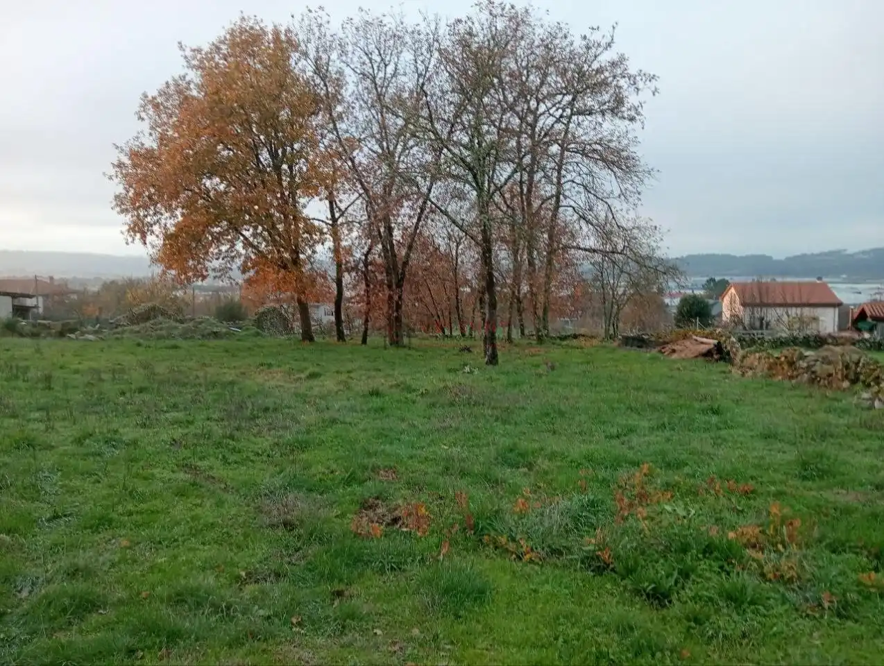 Terreny residencial en venda a San Cibrao das Viñas, imagen 4