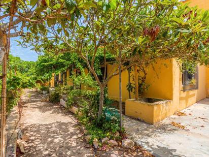 Garten von Country house zum verkauf in Los Montesinos mit Terrasse, Abstellraum und Schwimmbad