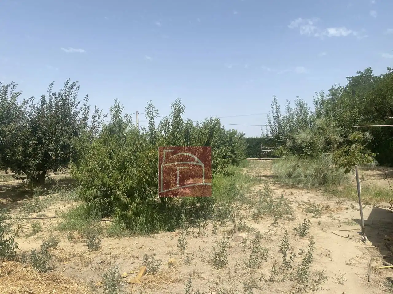 Terreni e lotti in vendita a Villanueva de la Serena, imagen 4