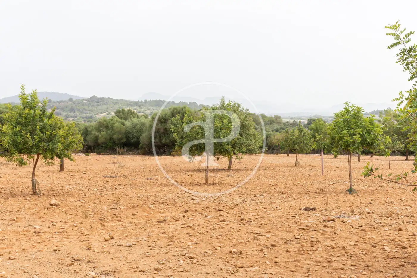 Terreno residenziale in vendita a Cami de.'s Presos, imagen 15