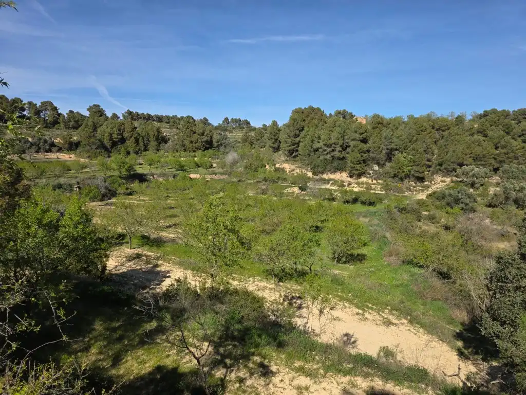 Terreno rustico in vendita a Caseres, imagen 4