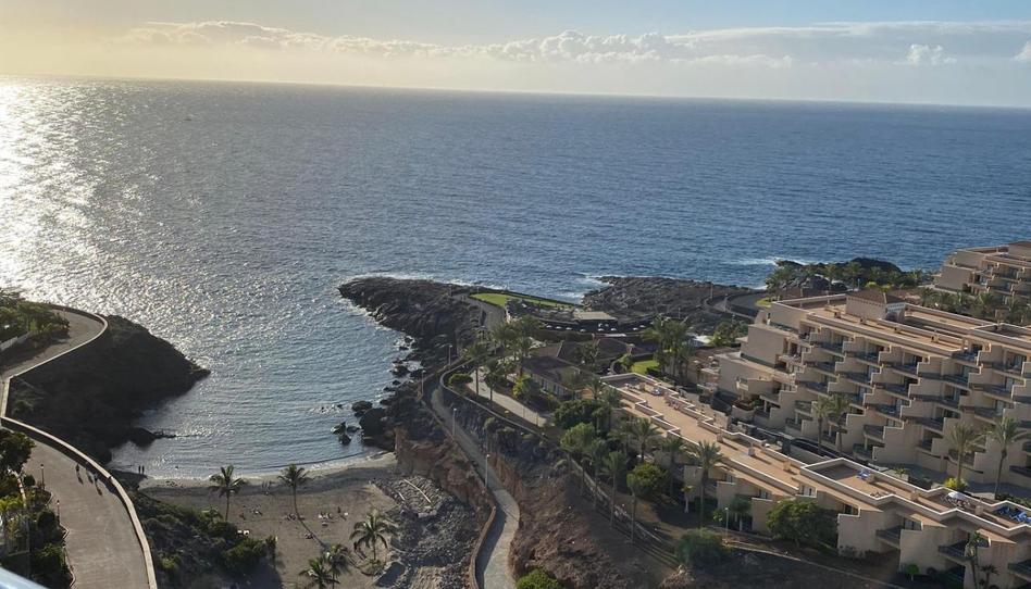 Foto 1 de Estudi de lloguer a Avenida de Adeje, 16, Casco Urbano, Santa Cruz de Tenerife