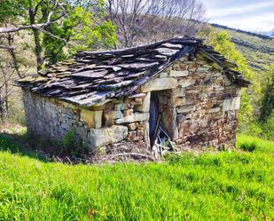 Vista exterior de Casa o xalet en venda en San Roque de Riomiera