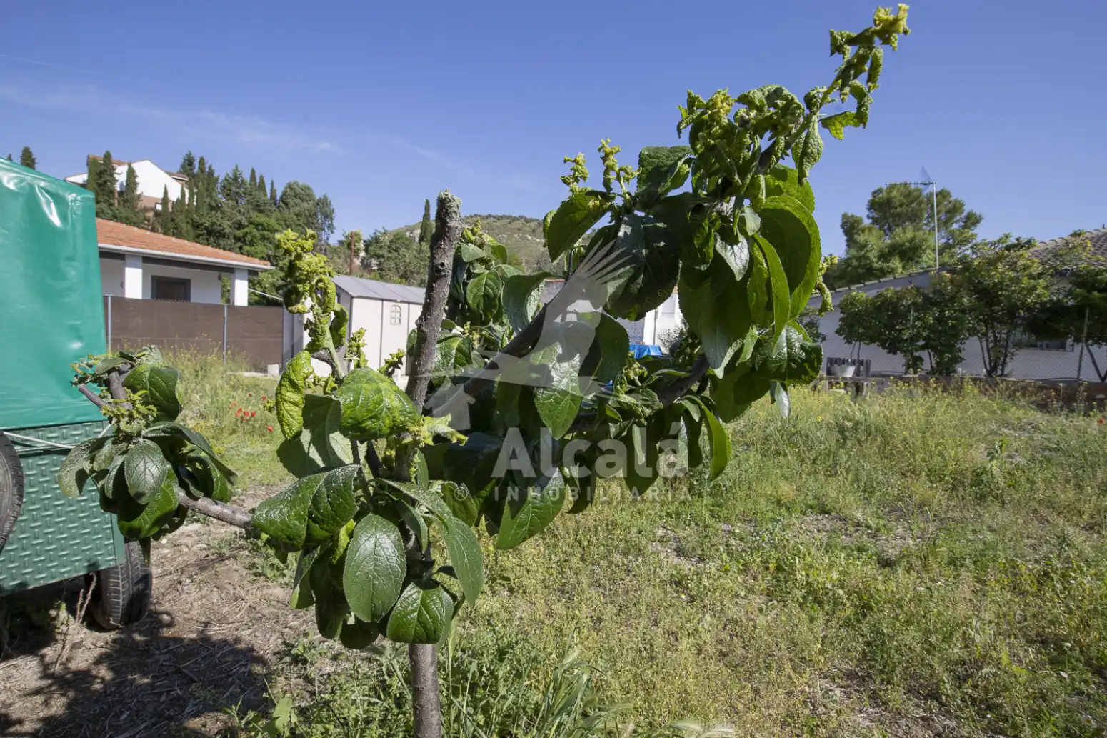 Terreno en venta en Valverde de Alcalá