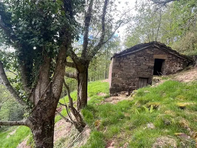 Vista exterior de Finca rústica en venda en Vega de Pas