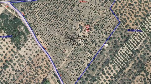 Finca rústica de 54.000 m² con encinas truferas, edificaciones y espectaculares vistas en Canet-lo-Roig, imagen 3