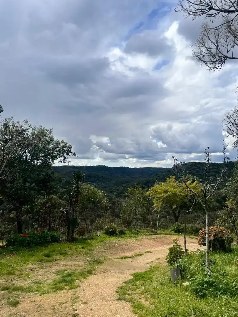 Finca rústica en venda en Berrocal amb Jardí privat, Traster i Piscina
