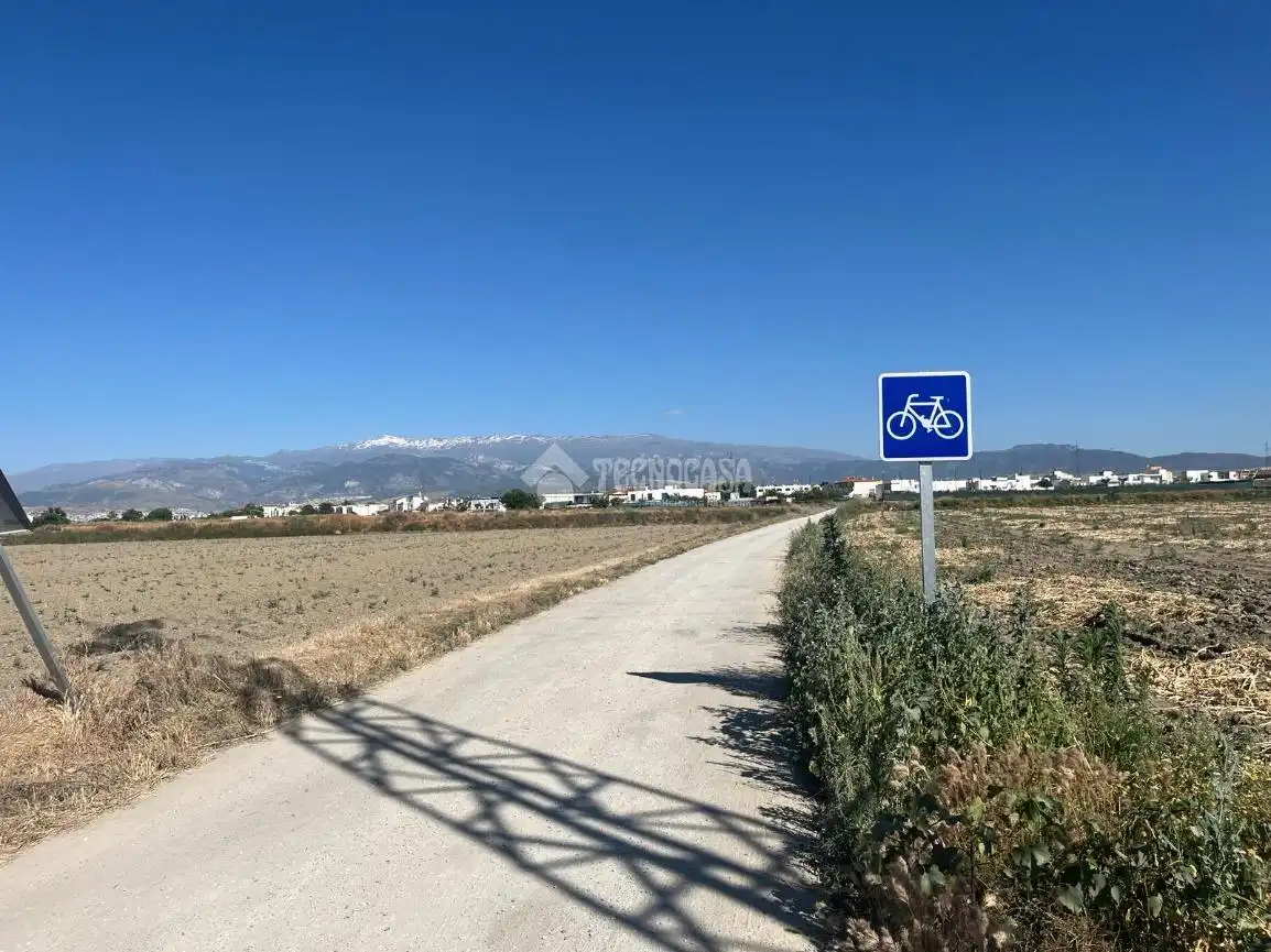 Terreni e lotti in vendita a Cúllar Vega