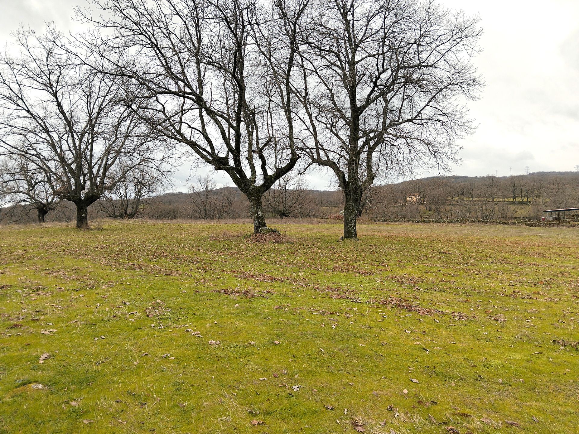 Land for sale in Gargüera