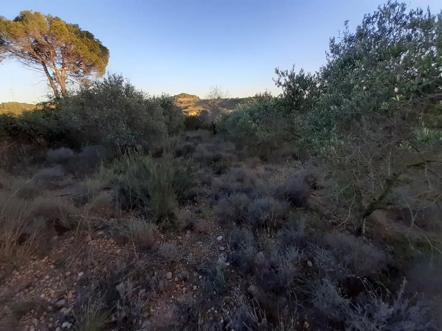 Residencial en venta en Castellbisbal