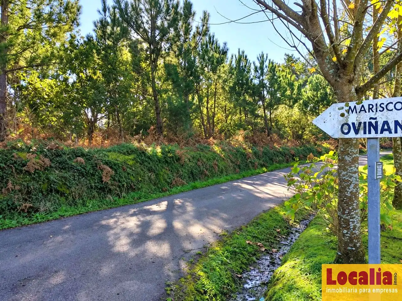 Terrenos y solares en venta en Oviñana, imagen 7