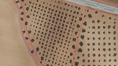 Finca Rúst. en venta en Valdepeñas., imatge 2
