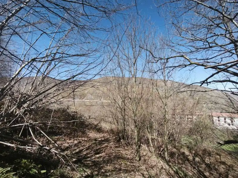Terreni e lotti in vendita a Rionansa, imagen 24
