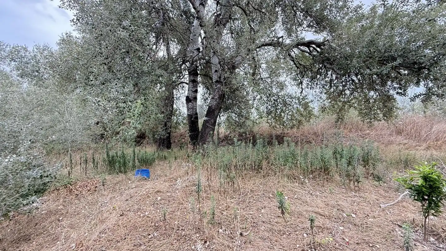 Maison rustique avec jardin à vendre à Carcaixent, imagen 14