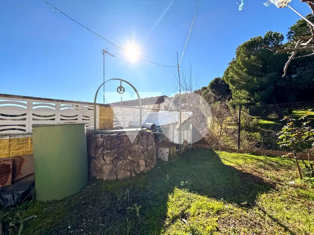 Jardín de Casa o chalet en venta en Ribatejada con Jardín privado, Terraza y Piscina