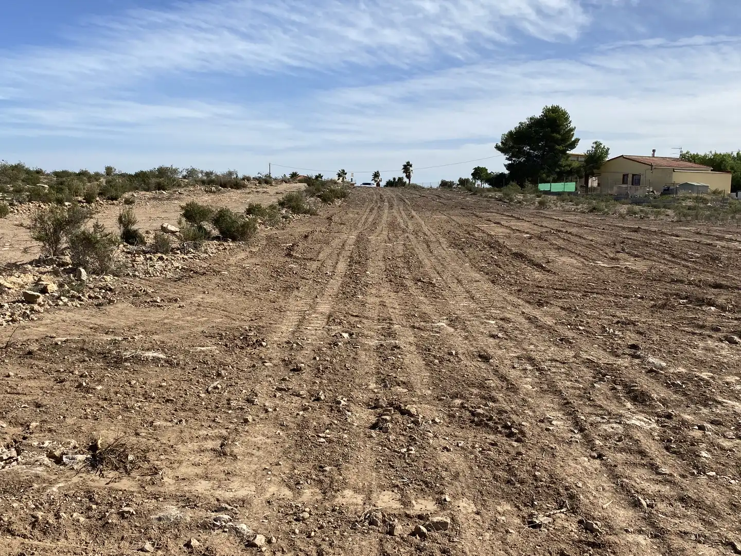 Land for sale in Elche / Elx
