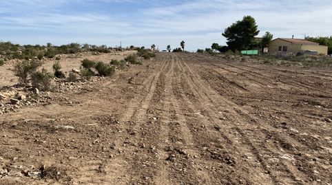 Foto 4 de Terreno en venta en El Altet, Elche / Elx