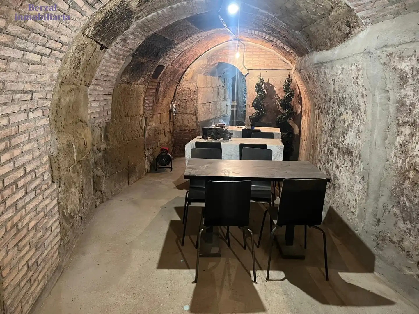 Commercial properties for sale in Baños de Ebro / Mañueta