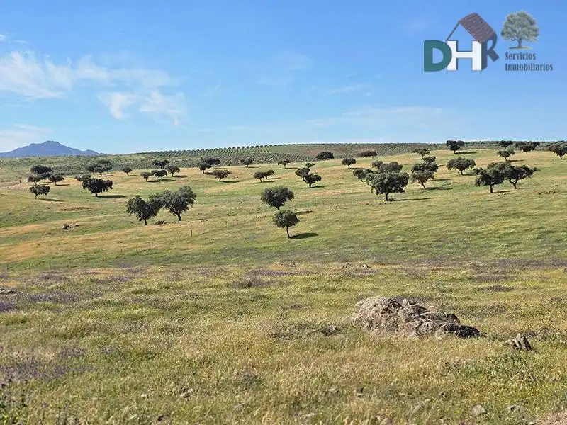Terreni e lotti in vendita a San Roque - Ronda Norte, imagen 6