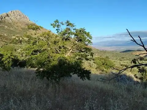 Terreni e lotti in vendita a la fuente de la higuera 22, imagen 9