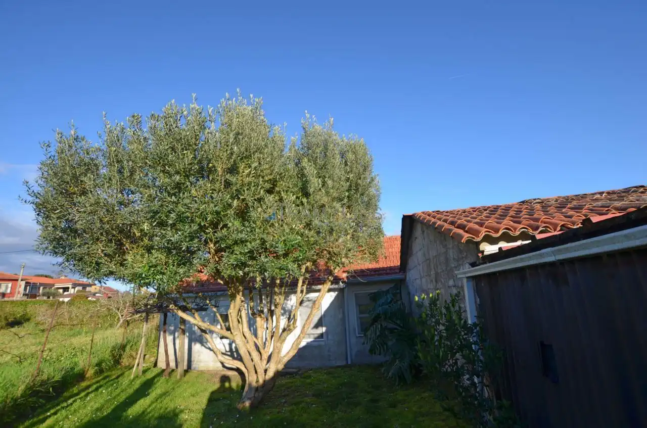 Maison avec jardin à vendre à LUGAR A ALDEA, imagen 53