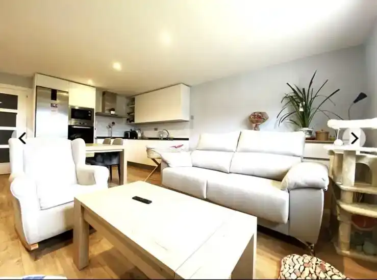 Sala d'estar de Pis en venda en Valle de Mena