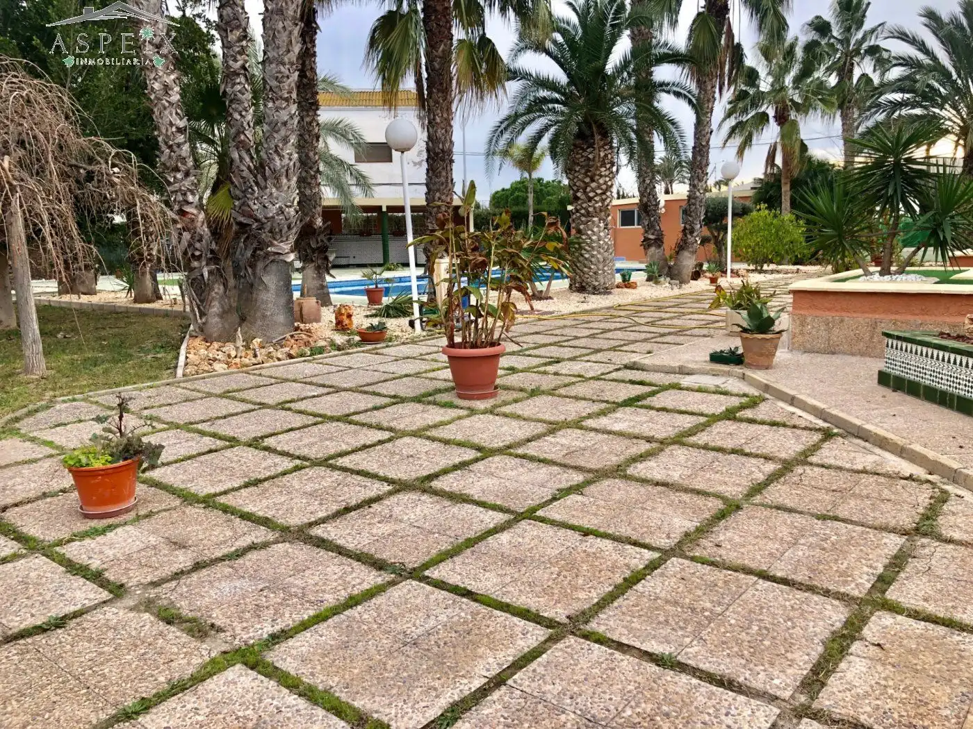 Jardí de Casa o xalet en venda en Elche / Elx amb Aire condicionat, Jardí privat i Terrassa