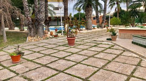 Foto 5 de Casa o xalet en venda a La Algoda - Matola - Llano de San José, Elche / Elx