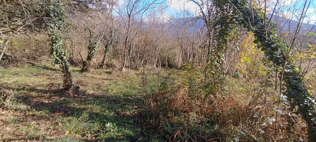 Finca rústica en venda en La Fueva