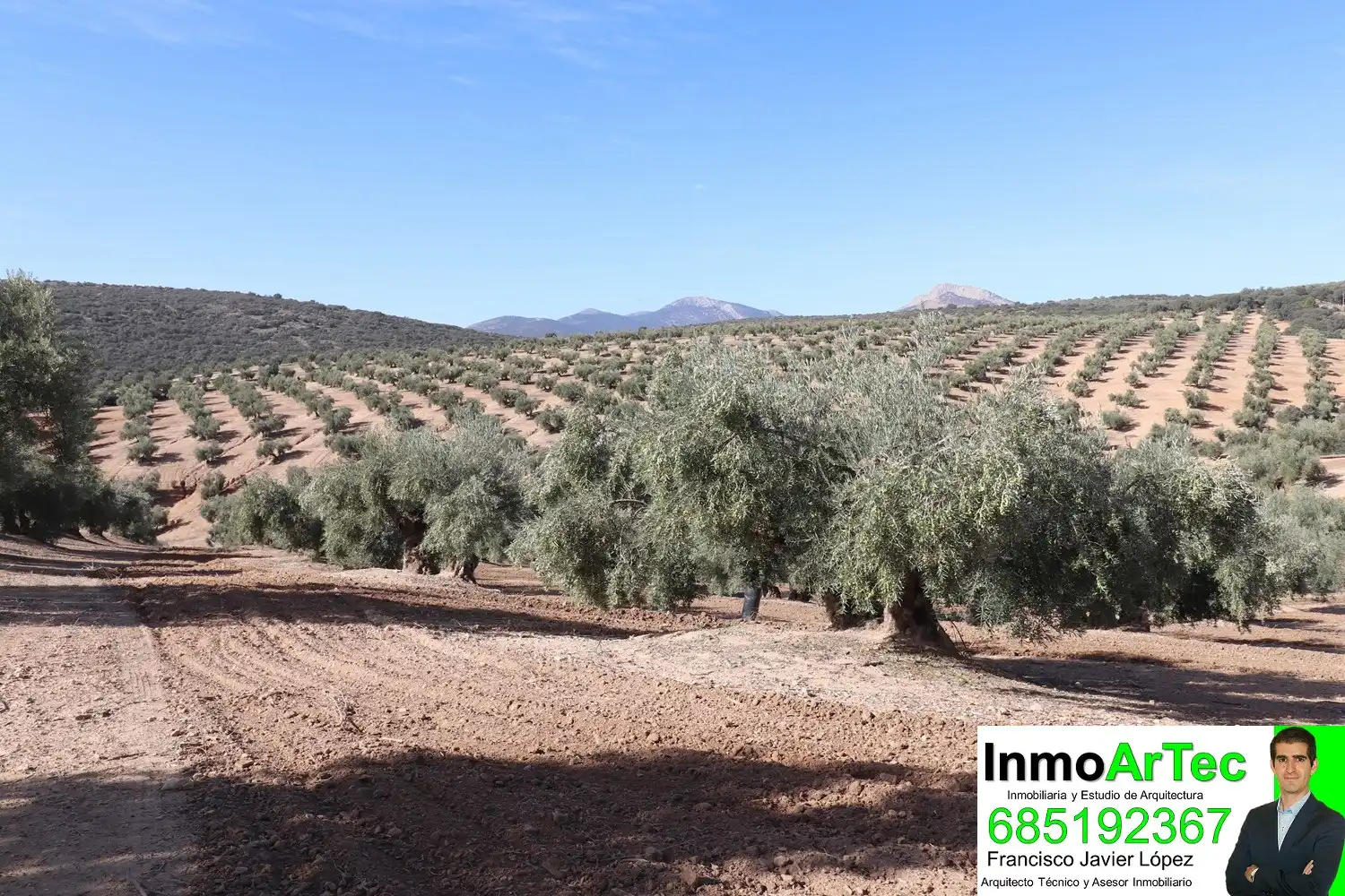 Finca rústica en venda en Iznalloz amb Jardí privat, Terrassa i Piscina